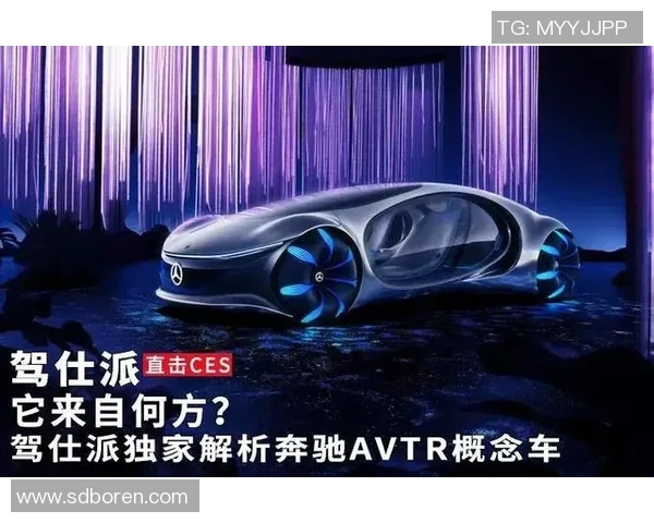 独家解析WE灵活性与其他平台的全面对比与优势分析实时新闻